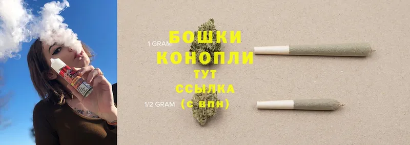 купить наркоту  Ветлуга  Каннабис THC 21% 